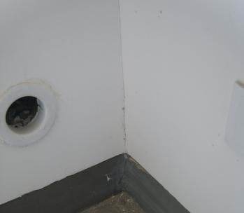 timg (1)_2345看图王.jpg
